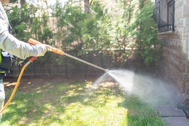Best Local Pest Control Services  in Middletown, CT